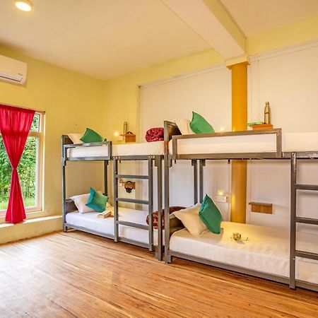 Gostops Palampur - Rooms & Dorms Zewnętrze zdjęcie